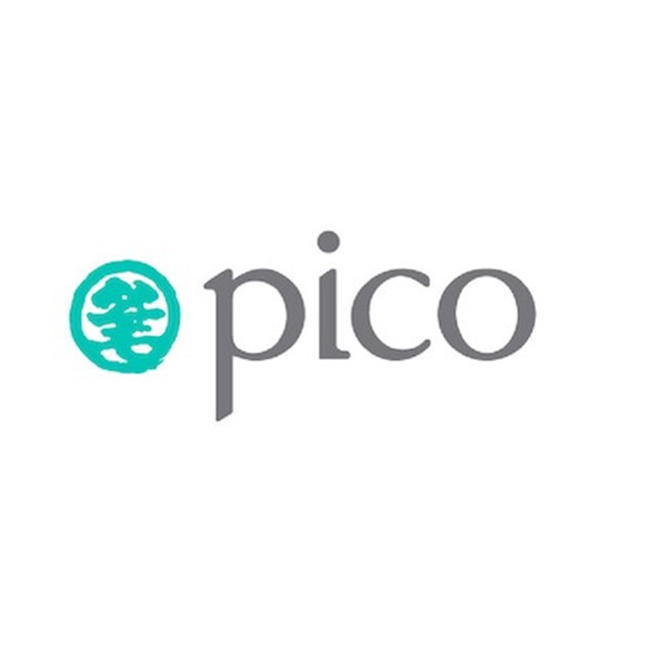 Pico international (HK) Ltd